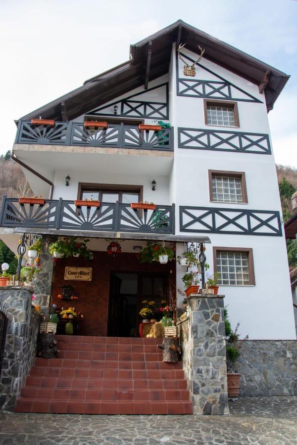 Casa Albert Sinaia Ngoại thất bức ảnh