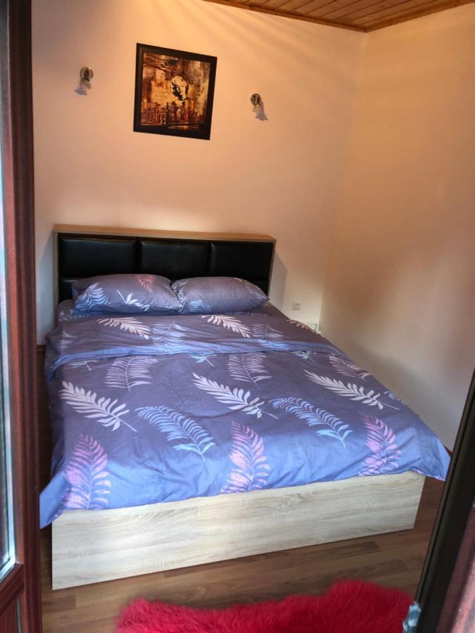 Casa Albert Sinaia Ngoại thất bức ảnh